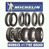 Michelin India Tyres Pvt Ltd Logo