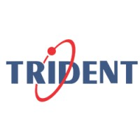 Trident Information Systems Pvt. Ltd. Logo