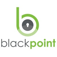 Blackpoint Cyber Logo