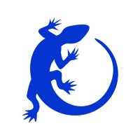 Exotix Capital Logo