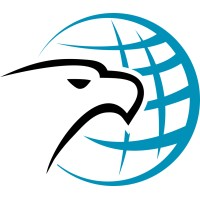 Eagle Mapping Logo