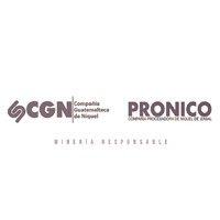 PRONICO Logo