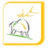 BSC Global (Bindroo Group) Logo