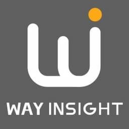 Way Insight International IP Logo