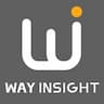 Way Insight International IP Logo