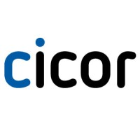 Cicor Group Logo