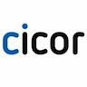 Cicor Group Logo